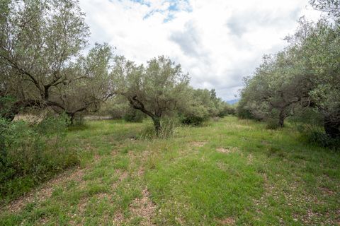 Finca i Tortosa, Tarragona, Tortosa - € 40.000 | Ref: 364 - foto 9