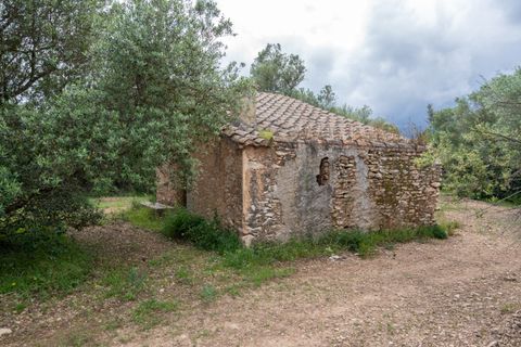Finca i Tortosa, Tarragona, Tortosa - € 40.000 | Ref: 364 - foto 3
