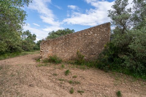 Finca i Tortosa, Tarragona, Tortosa - € 40.000 | Ref: 364 - foto 4