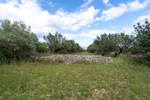 Finca i Tortosa, Tarragona, Tortosa - € 40.000 | Ref: 364 - foto 11