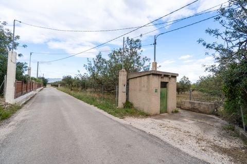 Finca i Tortosa, Tarragona, Tortosa - € 40.000 | Ref: 364 - foto 19