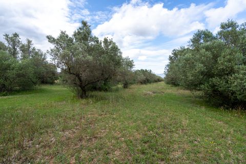 Finca i Tortosa, Tarragona, Tortosa - € 40.000 | Ref: 364 - foto 15