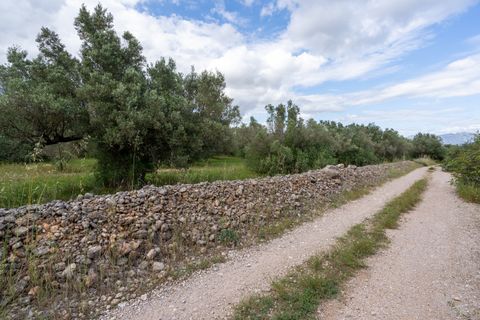 Finca i Tortosa, Tarragona, Tortosa - € 40.000 | Ref: 364 - foto 16