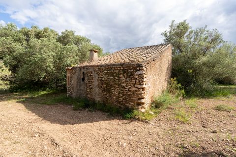 Finca i Tortosa, Tarragona, Tortosa - € 40.000 | Ref: 364 - foto 2