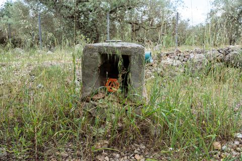 Finca i Tortosa, Tarragona, Tortosa - € 40.000 | Ref: 364 - foto 17