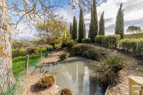 Gårdshus i Gambassi Terme, Florence, Gambassi Terme - € 3 000 000 | Ref: R07135GAAG - foto 28