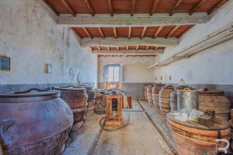 Landejendom i Bucine, Arezzo, Bucine - € 550.000 | Ref: R05109BURU - foto 21