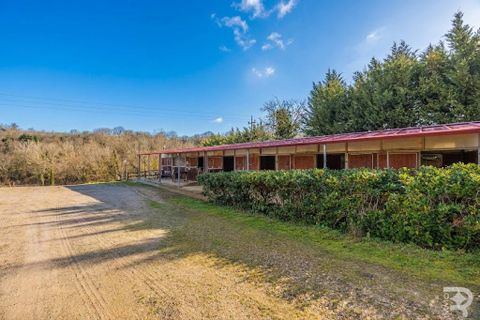 Landejendom i Terranuova Bracciolini, Arezzo, Terranuova Bracciolini - € 750.000 | Ref: R07021TERU - foto 13