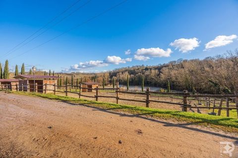 Landejendom i Terranuova Bracciolini, Arezzo, Terranuova Bracciolini - € 750.000 | Ref: R07021TERU - foto 15