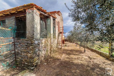 Landejendom i Arezzo, Arezzo, Arezzo - € 128.000 | Ref: R07118ARRU - foto 15