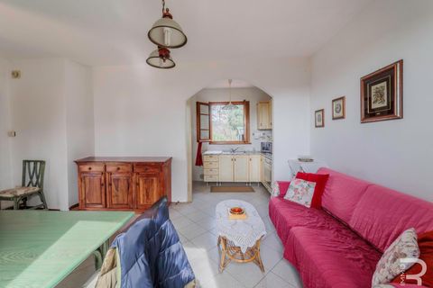 Villa i Massarosa, Lucca, Massarosa - € 205.000 | Ref: R07089MAVI - foto 13