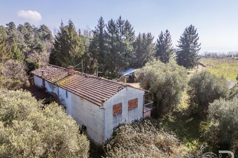Landejendom i Buggiano, Pistoia, Buggiano - € 240.000 | Ref: R07069BURU - foto 6