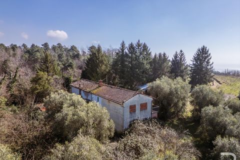 Landejendom i Buggiano, Pistoia, Buggiano - € 240.000 | Ref: R07069BURU - foto 5