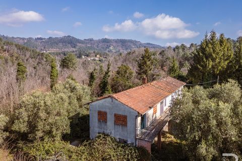 Landejendom i Buggiano, Pistoia, Buggiano - € 240.000 | Ref: R07069BURU - foto 4