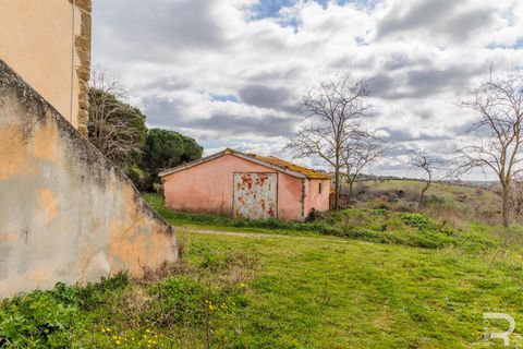 Landejendom i Scansano, Grosseto, Scansano - € 265.000 | Ref: R07066SCRU - foto 19