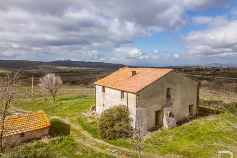 Landejendom i Scansano, Grosseto, Scansano - € 265.000 | Ref: R07066SCRU - foto 7