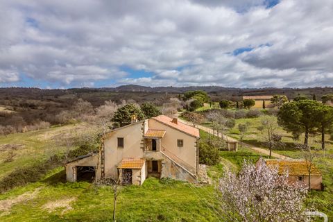 Landejendom i Scansano, Grosseto, Scansano - € 265.000 | Ref: R07066SCRU - foto 2