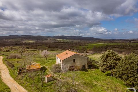 Landejendom i Scansano, Grosseto, Scansano - € 265.000 | Ref: R07066SCRU - foto 6