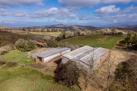 Landejendom i Scansano, Grosseto, Scansano - € 2.000.000 | Ref: R07065SCRU - foto 11