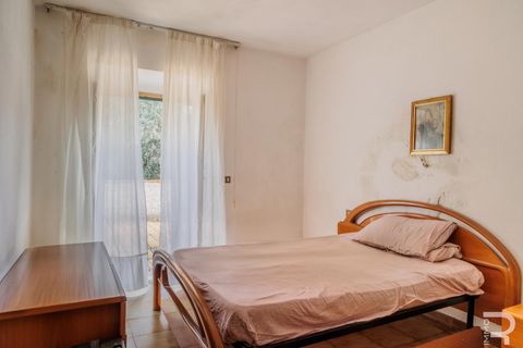Landejendom i Scansano, Grosseto, Scansano - € 2.000.000 | Ref: R07065SCRU - foto 27