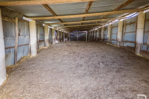 Landejendom i Scansano, Grosseto, Scansano - € 2.000.000 | Ref: R07065SCRU - foto 29