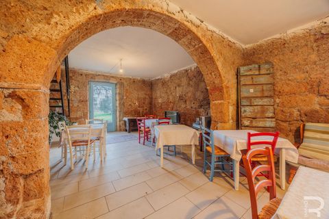 Landejendom i Sorano, Grosseto, Sorano - € 850.000 | Ref: R07050SORU - foto 35