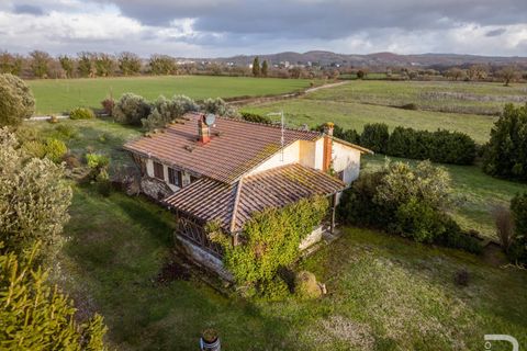 Landejendom i Sorano, Grosseto, Sorano - € 850.000 | Ref: R07050SORU - foto 26