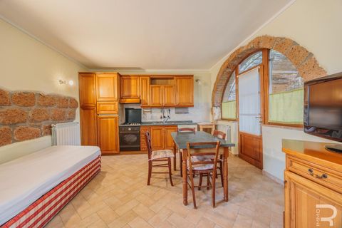Landejendom i Sorano, Grosseto, Sorano - € 850.000 | Ref: R07050SORU - foto 29