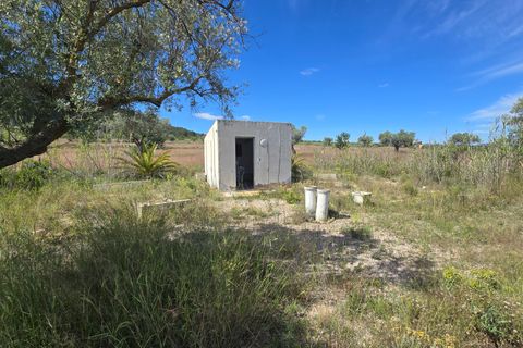 Landejendom i Sax, Alicante, Sax - € 299.950 | Ref: Camara twin - foto 35