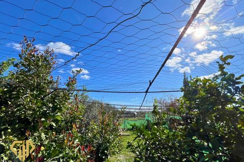 Landejendom i Albox, Almeria, Albox - € 120.000 | Ref: 2026/05 - foto 21