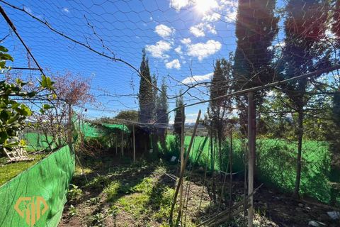Landejendom i Albox, Almeria, Albox - € 120.000 | Ref: 2026/05 - foto 17
