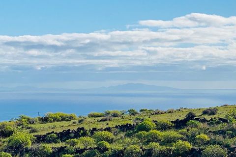 Finca a Telde, Gran Canaria, Telde - € 925.000 | Ref: MN Finca - foto 10