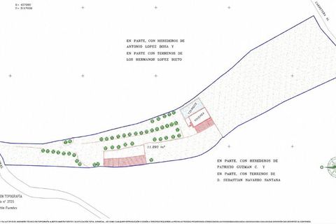 Finca a Telde, Gran Canaria, Telde - € 925.000 | Ref: MN Finca - foto 32