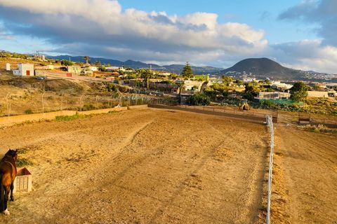 Finca a Telde, Gran Canaria, Telde - € 925.000 | Ref: MN Finca - foto 17