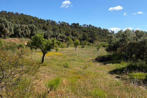 Herregård i Asco, Tarragona, Asco - € 350 000 | Ref: Asc10van - foto 39