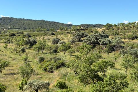 Herregård i Asco, Tarragona, Asco - € 350 000 | Ref: Asc10van - foto 42