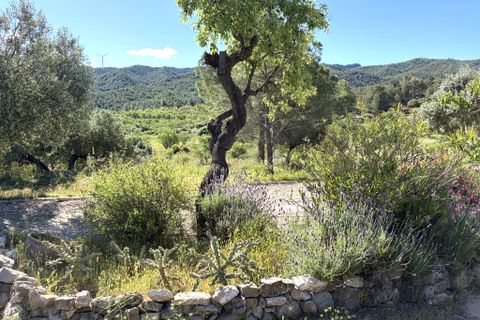 Herregård i Asco, Tarragona, Asco - € 350 000 | Ref: Asc10van - foto 47