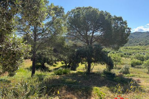 Herregård i Asco, Tarragona, Asco - € 350 000 | Ref: Asc10van - foto 40
