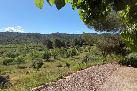 Herregård i Asco, Tarragona, Asco - € 350 000 | Ref: Asc10van - foto 36