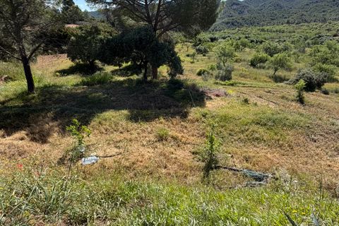Herregård i Asco, Tarragona, Asco - € 350 000 | Ref: Asc10van - foto 46
