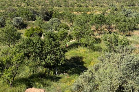 Herregård i Asco, Tarragona, Asco - € 350 000 | Ref: Asc10van - foto 44