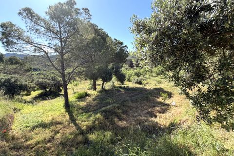 Herregård i Asco, Tarragona, Asco - € 350 000 | Ref: Asc10van - foto 48