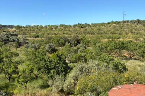 Herregård i Asco, Tarragona, Asco - € 350 000 | Ref: Asc10van - foto 41