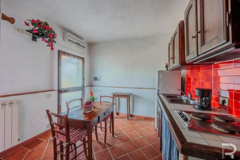 Farm hus i Cinigiano, Grosseto, Cinigiano - € 790.000 | Ref: R06999CIAG - foto 32