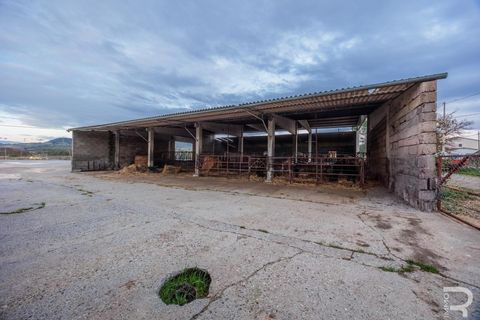 Landejendom i Cinigiano, Grosseto, Cinigiano - € 850.000 | Ref: R06994CIRU - foto 10