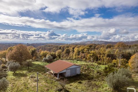 Landejendom i Sorano, Grosseto, Sorano - € 220.000 | Ref: R06978SORU - foto 16