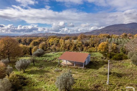Landejendom i Sorano, Grosseto, Sorano - € 220.000 | Ref: R06978SORU - foto 11