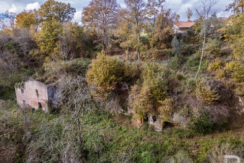 Landejendom i Sorano, Grosseto, Sorano - € 220.000 | Ref: R06978SORU - foto 5