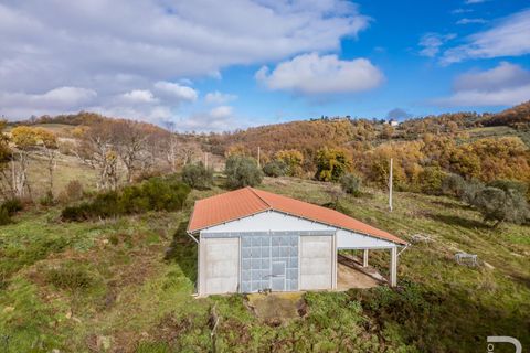 Landejendom i Sorano, Grosseto, Sorano - € 220.000 | Ref: R06978SORU - foto 8