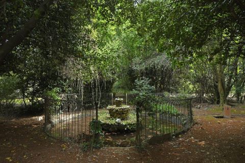 Villa i Lamego, Viseu, Lamego - € 2.200.000 | Ref: PAL_377 - foto 7